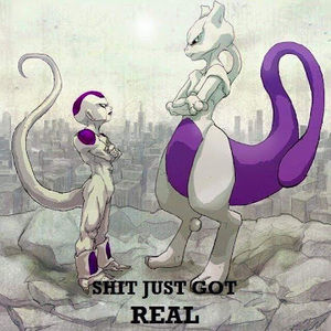 Meet your Posher, Casper